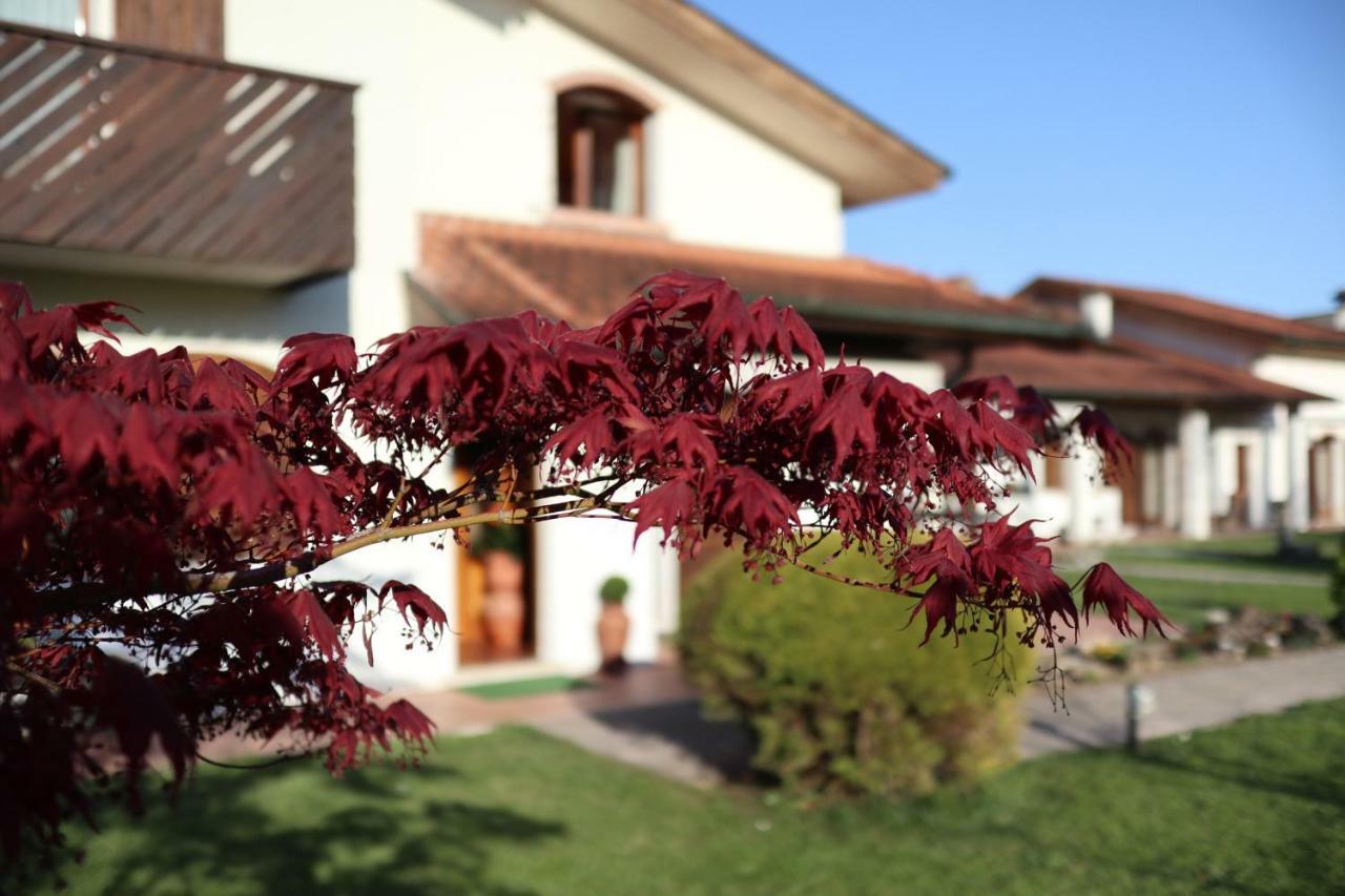 La Pecora Nera Bed & Breakfast Belluno Eksteriør bilde